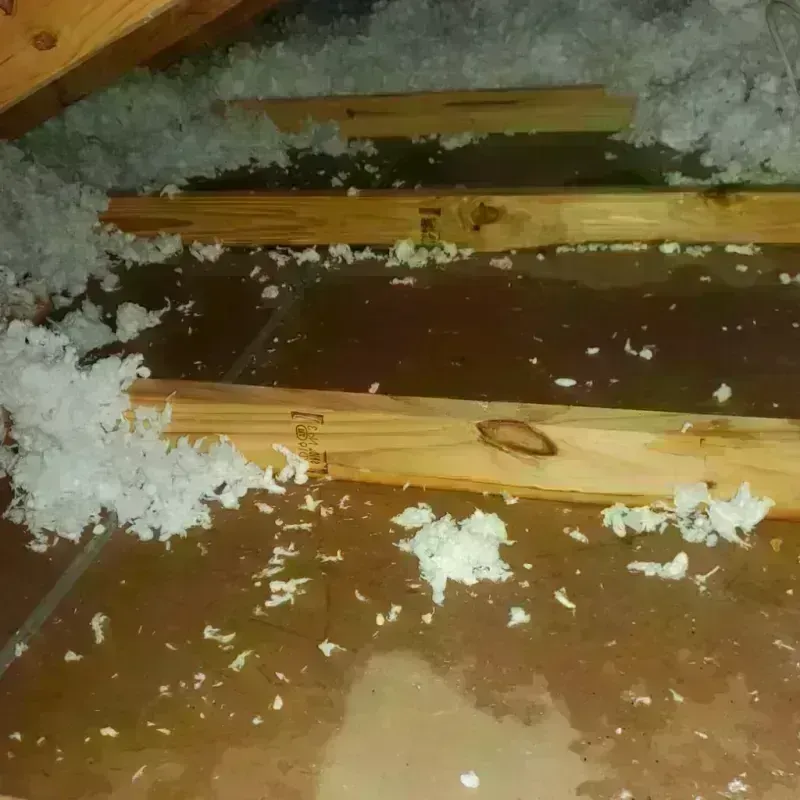 Attic Water Damage in South Windham, CT